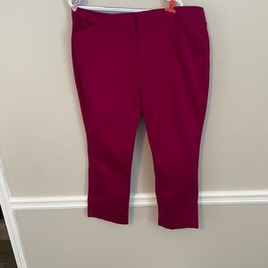 New York & Company size 18 capris